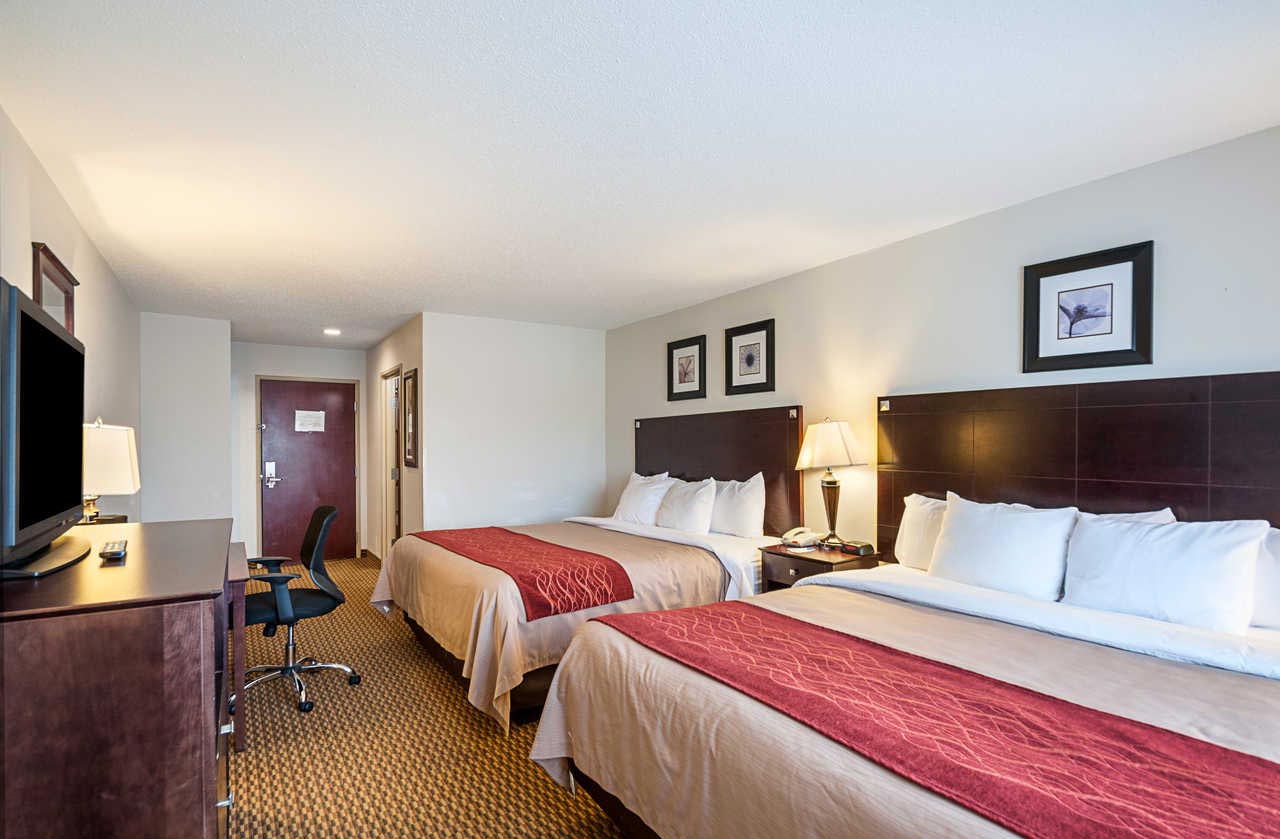 Photo ot Comfort Inn and Suites Cambridge Guest Room