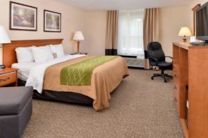 Comfort Inn Selinsgrove King Guest Room